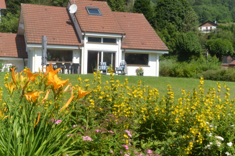 Chalet sous le théatre - Location de vacances - Bussang-292659