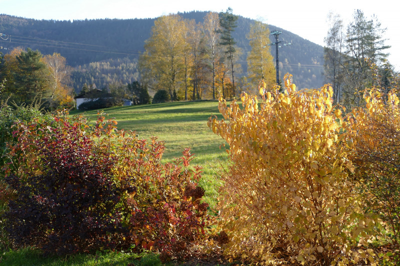 Chalet sous le théatre - Location de vacances - Bussang-292668