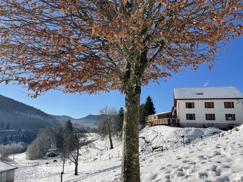 img-2985-321761 img-2985-321761