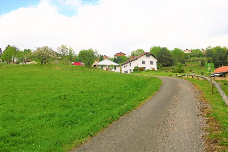 location-appartement-saint-maurice-sur-moselle-vosges-1-180009