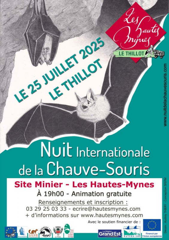 nuit-chauve-souris-le-thillot2