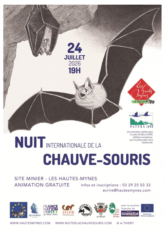 nuit-internationale-hautes-mynes