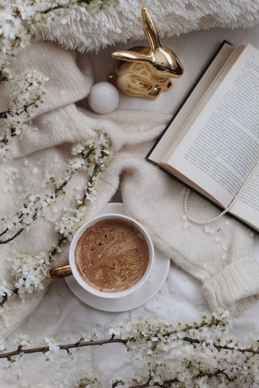 cafe-lecture-mediatheque