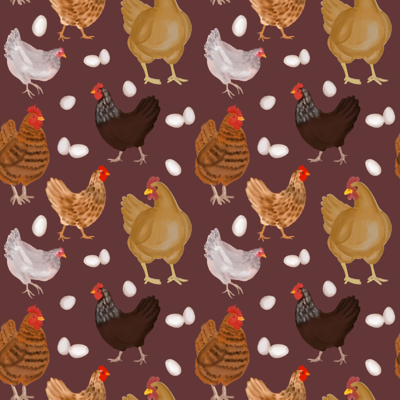 histoires-d-oeufs-mediatheque-le-thillot