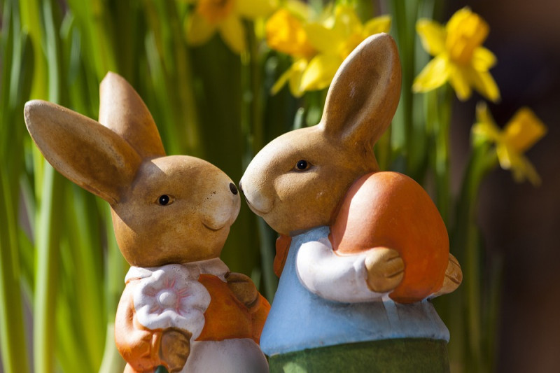 atelier-lapin-a-modeler