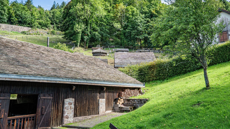 musee-montagne musee-montagne