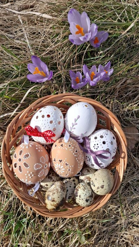 pexels-kata-22729651-36685595 pexels-kata-22729651-36685595