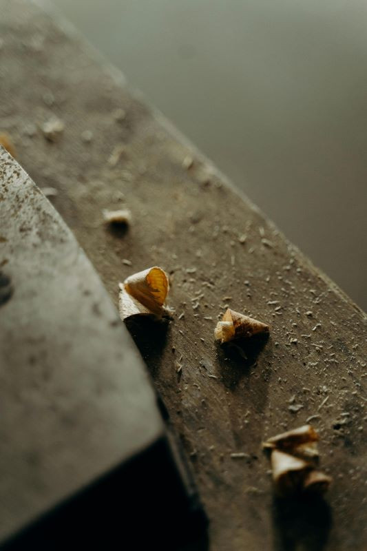 pexels-cottonbro-7479030