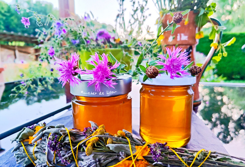decouverte-apiculture-bussang