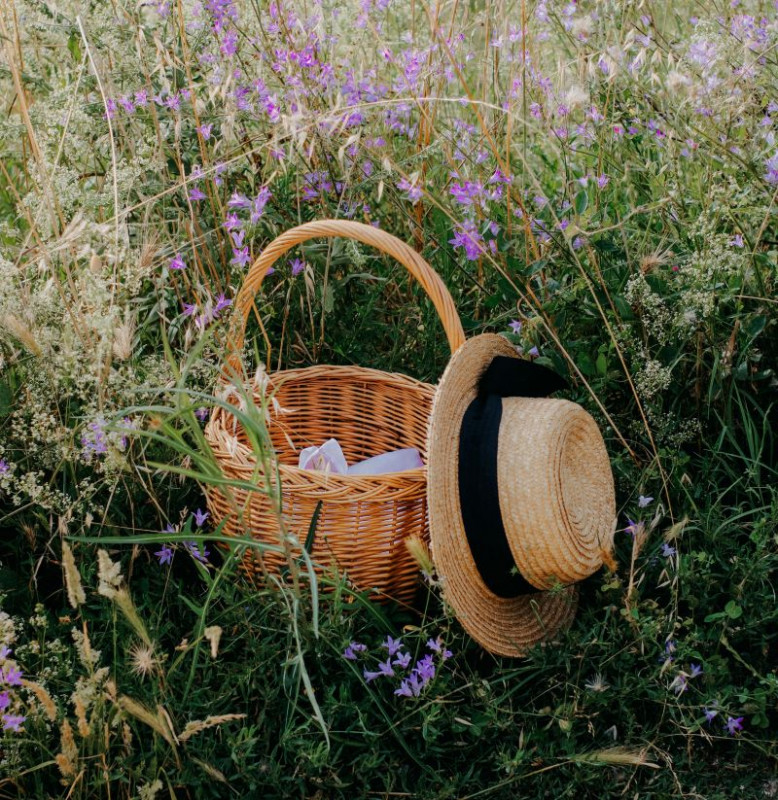 pexels-nati-87264186-17310922 pexels-nati-87264186-17310922