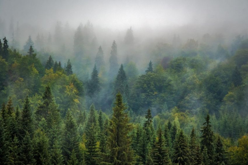 nature-et-bien-etre-bussang