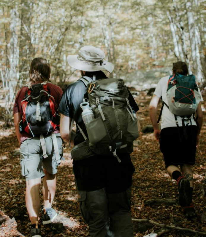 pexels-kwnos-iv-250460536-14041502 pexels-kwnos-iv-250460536-14041502