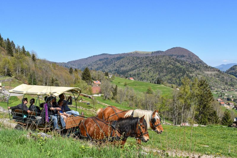 balade-en-caleche