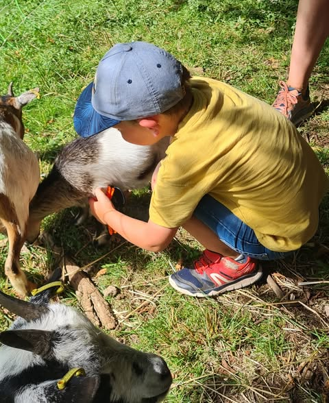 visite-guidee-ferme-ventron2