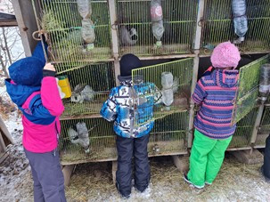 apres-midi-ferme-en-hiver