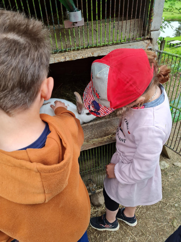 visite-ferme-ventron visite-ferme-ventron