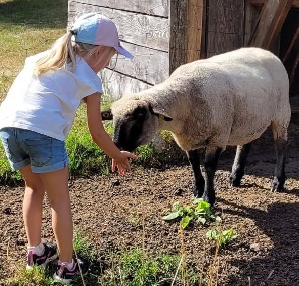 visite-gouter-ferme-ventron2