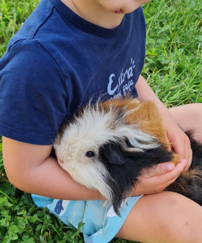 atelier-tout-petits-ventron