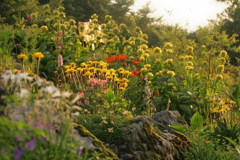 plantes-montagnardes-jardin-chitelet