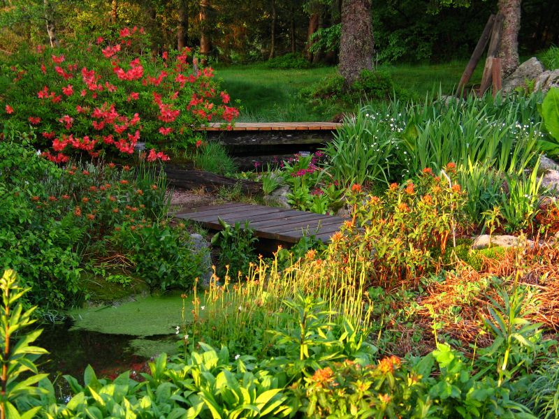 jardin-reserve-naturelle-xonrupt-longemer