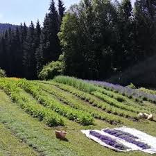 visite-jardin-saint-maurice-sur-moselle