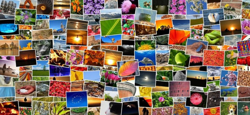 expo-photo-plein-air-rupt-sur-moselle