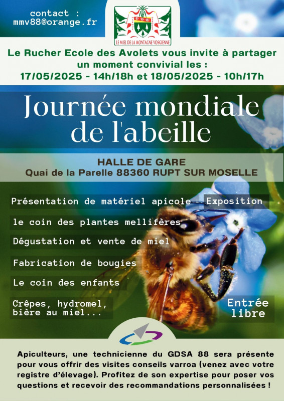 abeille-rupt-ecole-avolets