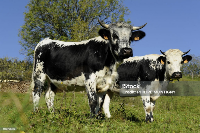 istockphoto-1133766342-1024x1024 istockphoto-1133766342-1024x1024