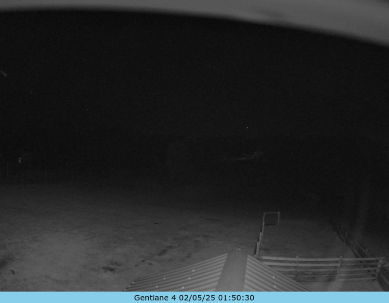 Webcam Gentiane Ballon d'Alsace